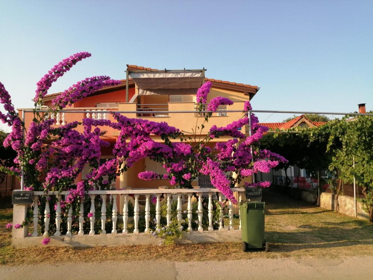 Appartement Marina à Biograd Na Moru Extérieur photo