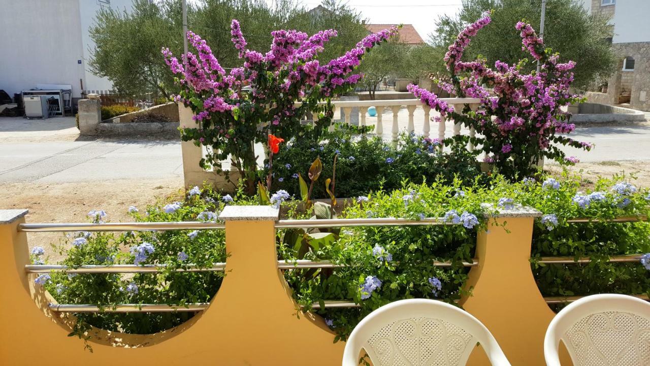 Appartement Marina à Biograd Na Moru Extérieur photo